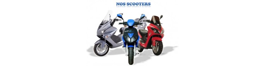 Nos scooters 